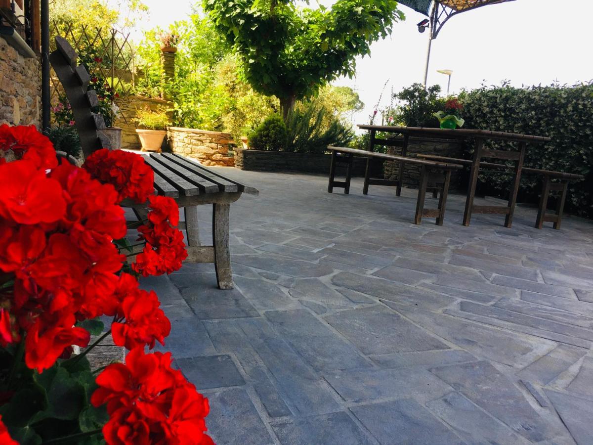 Gelsomini Villa Massa  Exterior photo