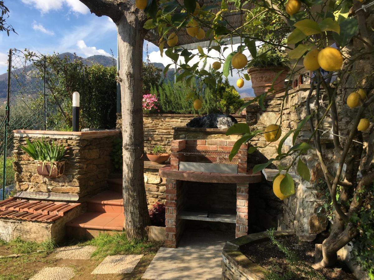 Gelsomini Villa Massa  Exterior photo